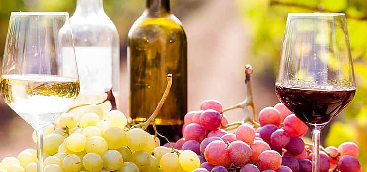 Foto 1 Excursión privada a la región vinícola de Kakheti con cata de vinos incluida