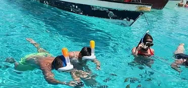 Photo 1 Full Day Wasini Island Tour: Dolphins spotting and snorkeling.