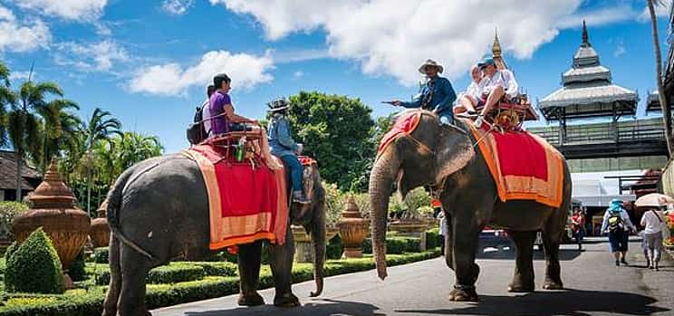 Photo 1 Nong Nooch Tropical Garden Village with Elephant Show and Round Trip Transfer