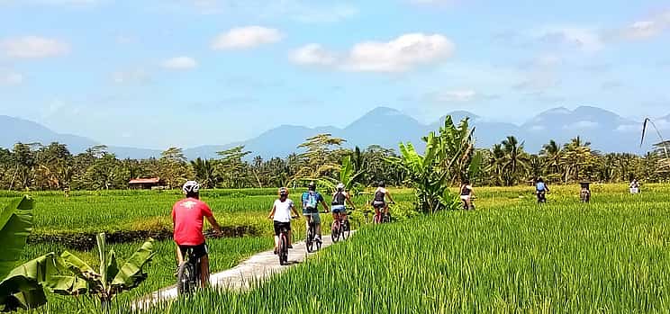 Photo 1 E-bike Ubud to Tegalalang Trip