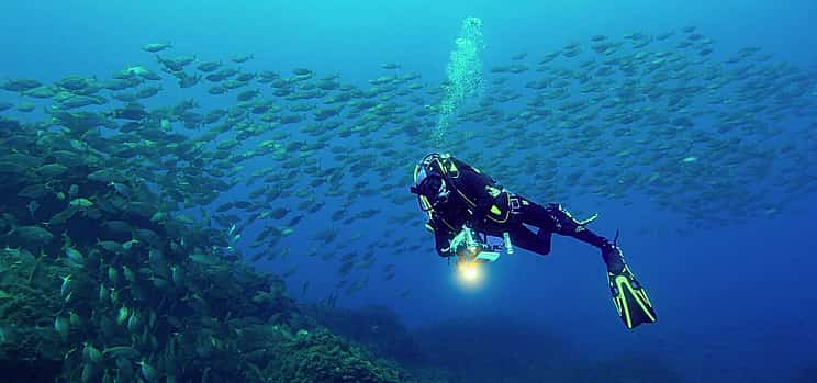 Photo 1 Become a Certified Open Water Diver from Azores - Terceira island - Your Underwater Adventure Starts Here!
