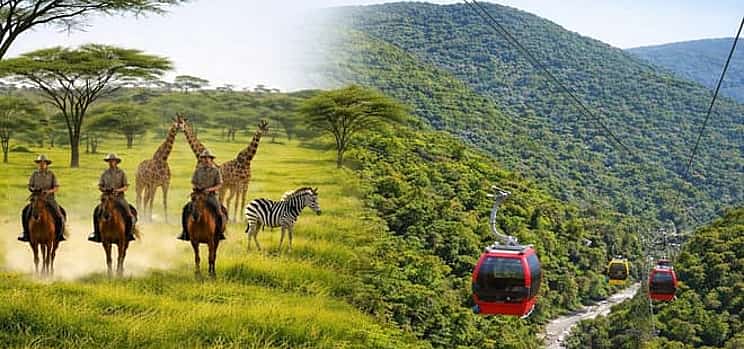Photo 1 Horseback Safari and Cable Car Tour from Johannesburg