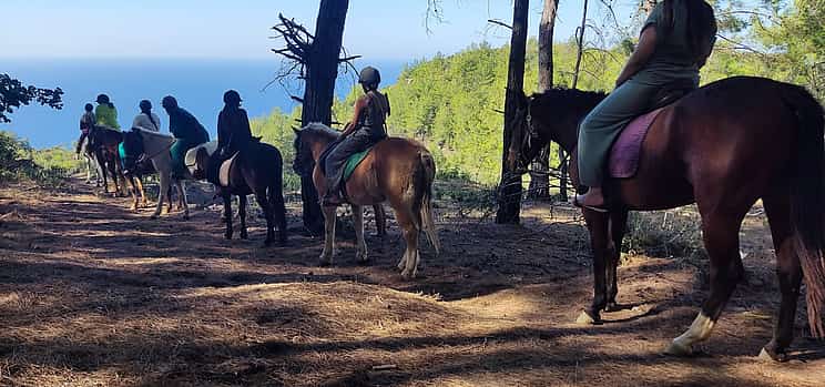 Photo 1 Horse Riding Safari Tour in Alanya