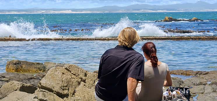 Photo 1 Visite guidée de la baie de Walker à Hermanus