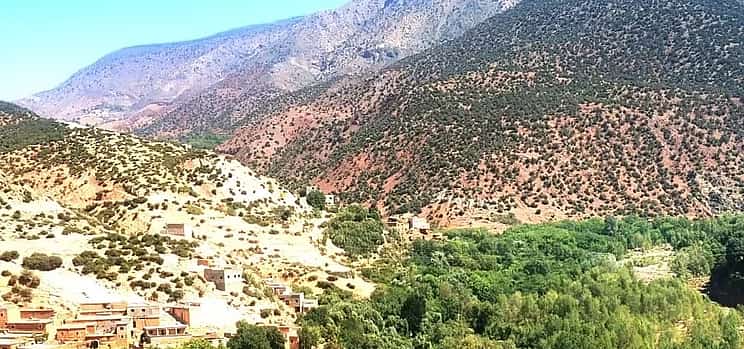 Photo 1 Day Trip from Marrakech to the Argan Cooperative