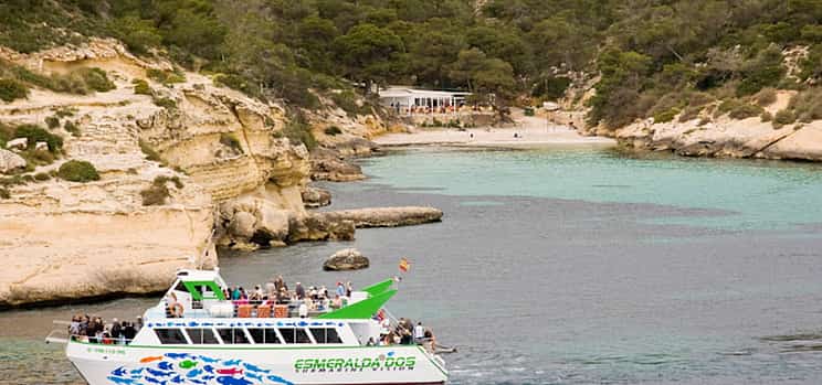Photo 1 Two-Hour Dolphin Spotting Catamaran Cruise Ticket