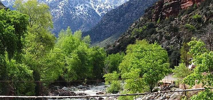 Photo 1 Atlas Mountains, Ourika Valley, Waterfalls & Lunch