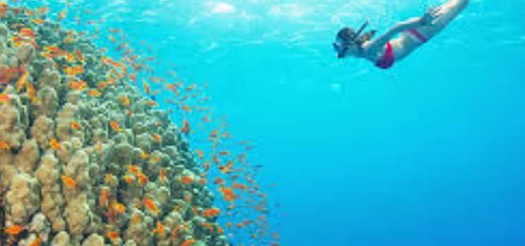 Fotoğraf 1 Bali: Padangbai Blaue Lagune Schnorcheln mit lokalem Guide
