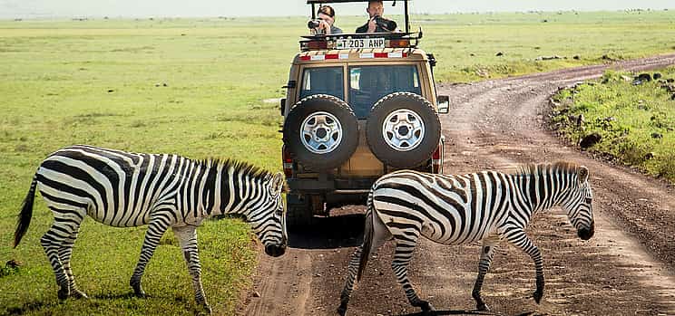 Photo 1 3-day Private Safari to Tarangire, Lake Eyasi and Ngorongoro Crater from Arusha