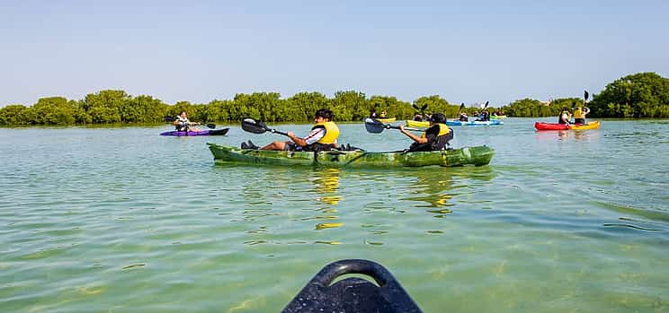 Photo 1 North of Qatar Tour with Kayaking