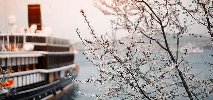 Photo 1 Private Transfer: Vienna to River Cruise Dock Nuremberg - Port/Harbor transport