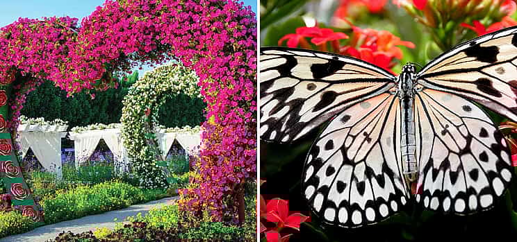 Photo 1 Dubai Miracle & Butterfly Garden Entrance Tickets
