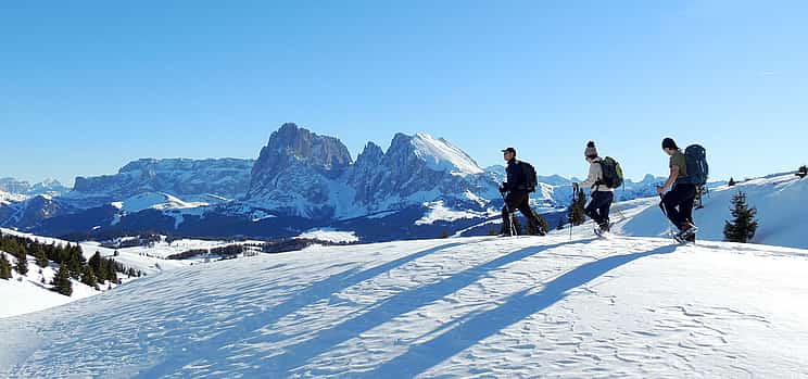 Photo 1 Snowshoe and Sled Tour in the Dolomites from Bolzano