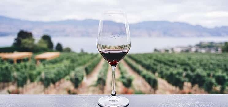 Photo 1 Visit Sorrento, Pompeii & enjoy Wine-Tasting lunch (8-hour tour)