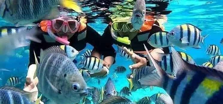 Photo 1 Bali: Blue Lagoon Spectacular Snorkling