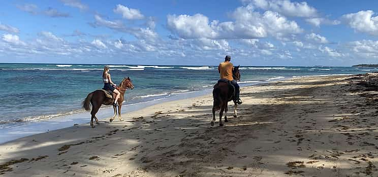 Photo 1 2-hour Horseback Riding Tour