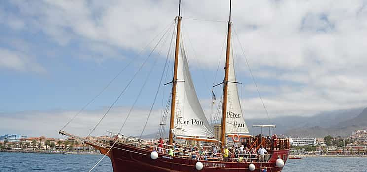 Photo 1 Tour with Whale Watching in Tenerife Peter Pan Boat