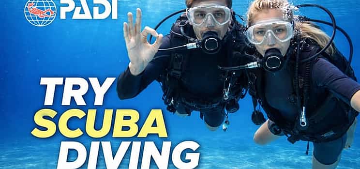 Photo 1 Try Scuba Diving Experience in Funchal