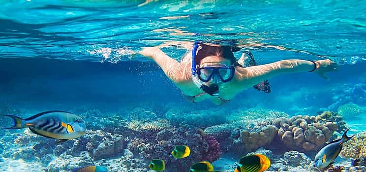 Foto 1 Sansibar: Schnorcheln auf der Insel Mnemba und Schwimmen mit Delfinen