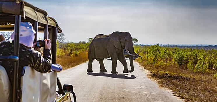 Photo 1 An Unforgettable Safari from Johannesburg to Pilanesberg