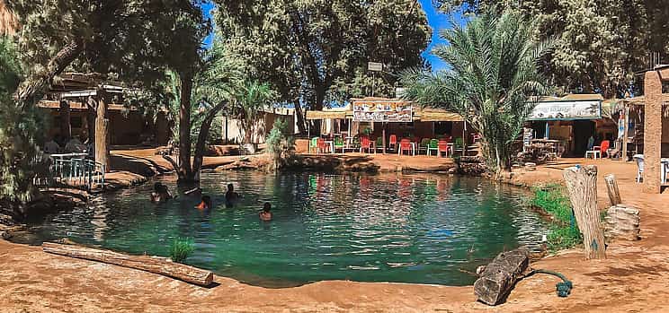 Photo 1 Ksar Ghilane Oasis, Sahara and Oasis Tour
