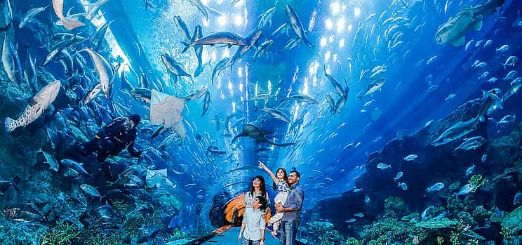 Photo 1 Burj Khalifa 124/125th floor visit, Dubai Mall shopping, Aquarium & Zoo tour & Desert Safari with BBQ Dinner