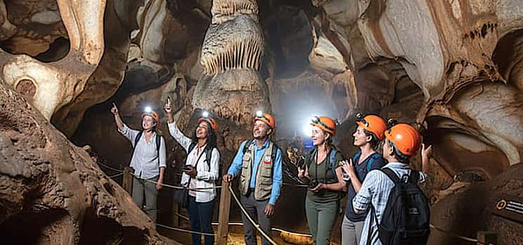 Photo 1 Half Day Cradle Of Humankind Tour