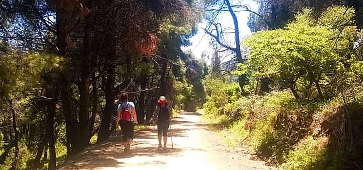 Photo 1 Skopelos Natural Beauty