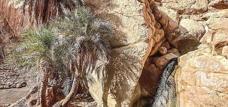 Photo 1 Oases, Adventure & Star Wars: An Epic Journey from Djerba to Tozeur