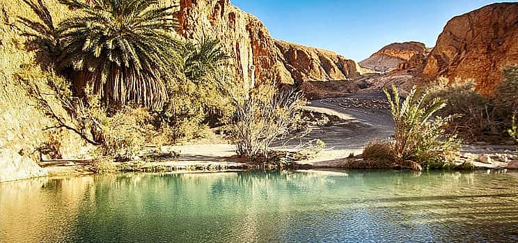 Photo 1 5-Day Desert & Heritage Adventure in Tunisia from Douz