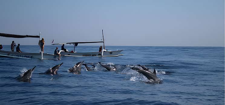 Photo 1 Lovina Dolphin Sunrise Tour