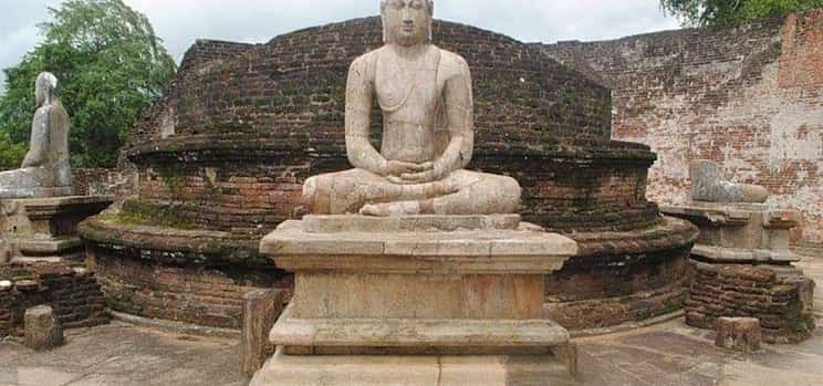 Photo 1 Ancient Polonnaruwa and Minneriya Park Safari Tour from the East Coast