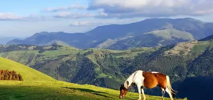 Photo 1 Visita Guiada con Conductor Privado de los Sitios y Pueblos Más Bellos del País Vasco Norte.
