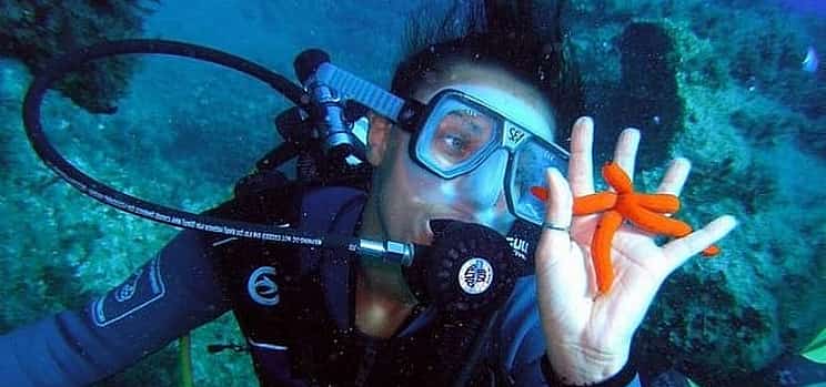 Photo 1 Rhodes Scuba Diving Experience for Beginners