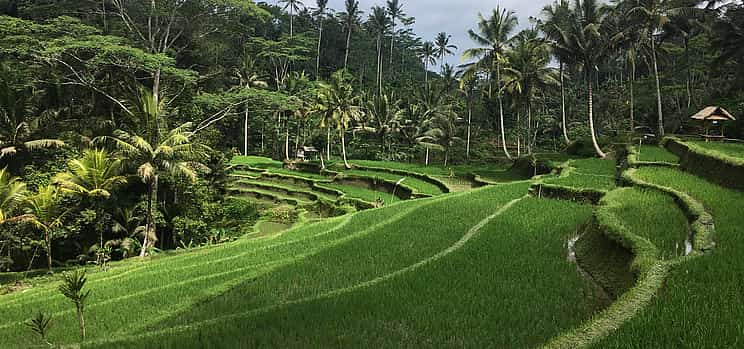 Photo 1 4-day Bali Package
