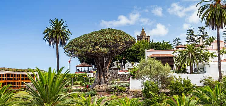 Photo 1 Private Excursion to Masca, Garachico, Icod in Tenerife