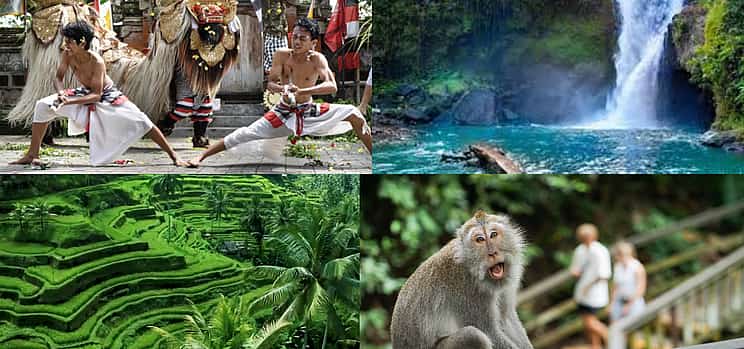 Photo 1 Bali: 1 Day Tour to Discover Waterfall - Sacred Temple - Coffee Plantation - Rice Terrace - Monkey Forest