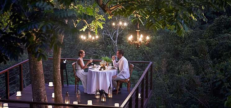Foto 1 Cena romántica en la terraza de un árbol del bosque