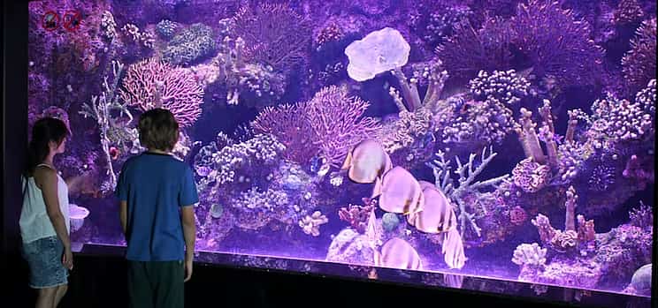 Photo 1 Antalya Aquarium with Shuttle from Kemer