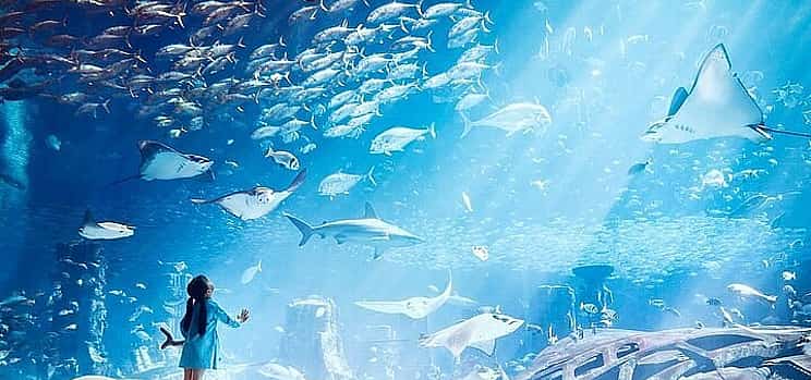 Photo 1 Dubai Atlantis Aquaventure & Lost Chambers Entrance Tickets