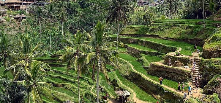 Фото 1 Experience Ubud: From Traditional Crafts & Monkey Forest to Ancient Temples & Jungle Waterfalls