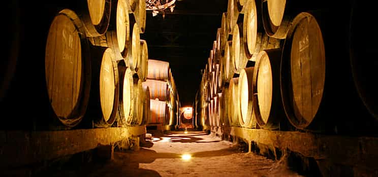 Photo 1 Arrabida Wine Tour from Lisbon: Wineries, Tastings & Tile Factory (group tour)
