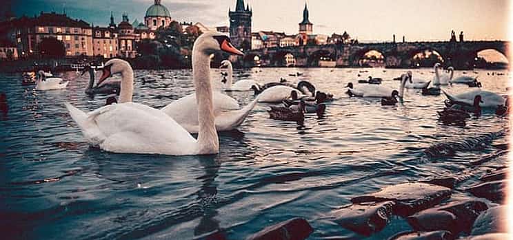 Fotografie 1 Budapest to Prague - Private Transfer with 2 hours of Sightseeing