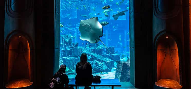 Foto 1 Entradas para Dubai Aquaventure y el acuario Lost Chambers