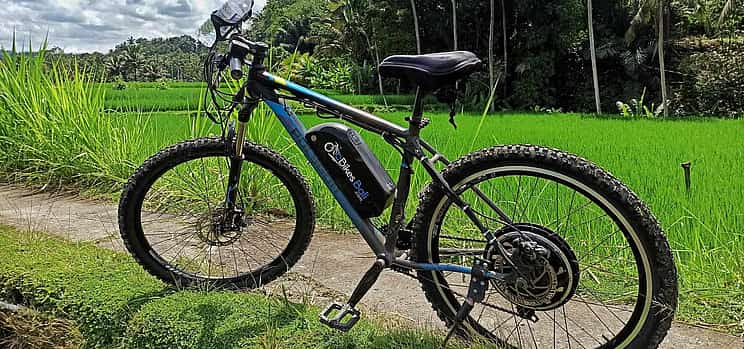 Photo 1 Sanur to Ubud E-cycling Adventure