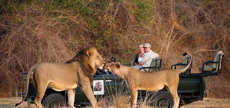 Photo 1 Full-day South Luangwa Private  Tour