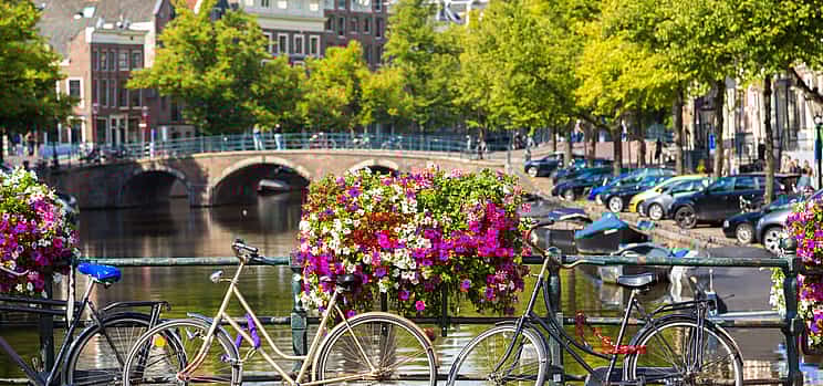 Photo 1 Individual trip and day of freedom in Amsterdam.
