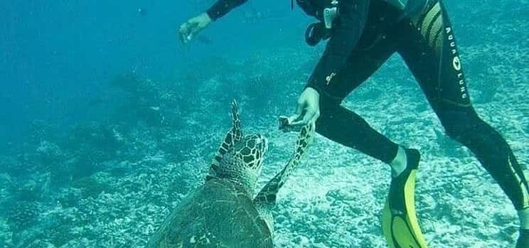 Photo 1 Explore Submerged Treasures: Scuba Diving Experience in Djerba