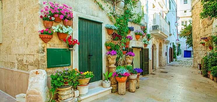 Photo 1 Private direct transfer from Naples to Bari with local driver