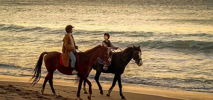 Photo 1 Tangier Mountain and Sea Horseback Riding Adventure